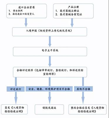进口呼吸机申报流程深度解读 自营与代理进出口业务的实践指南